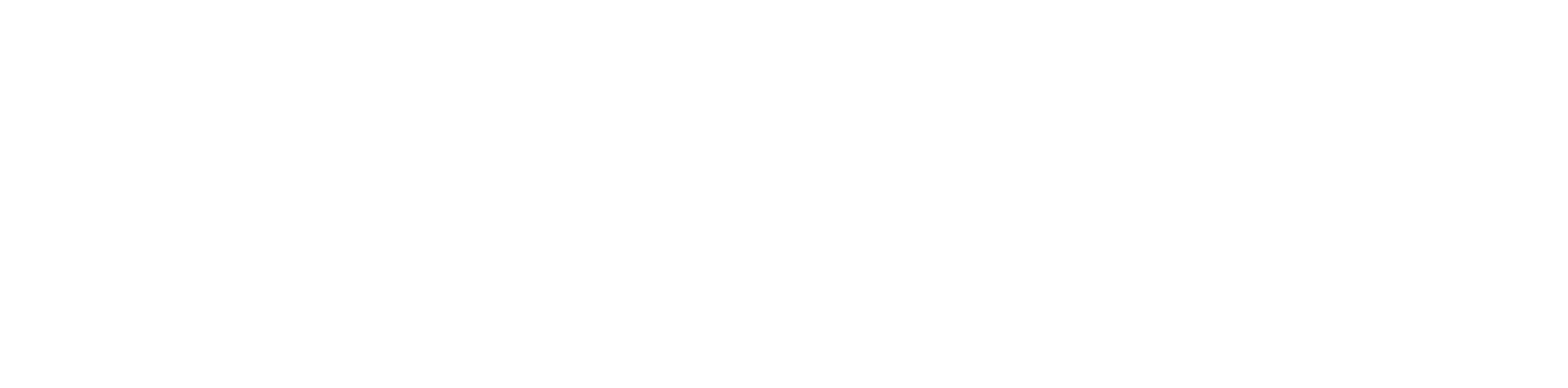 AVM logo_footer
